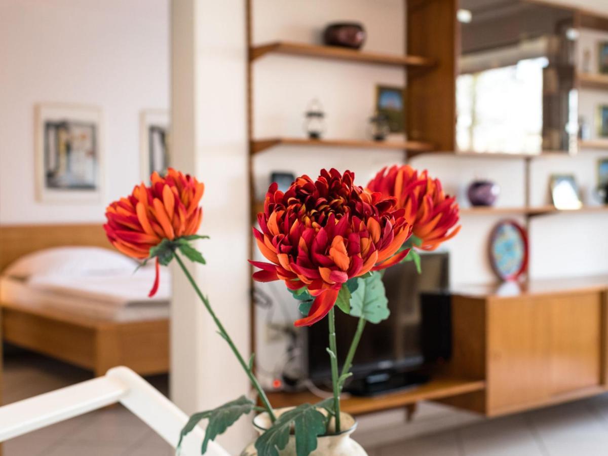 Apartment B313 By Interhome Lahnstein Kültér fotó